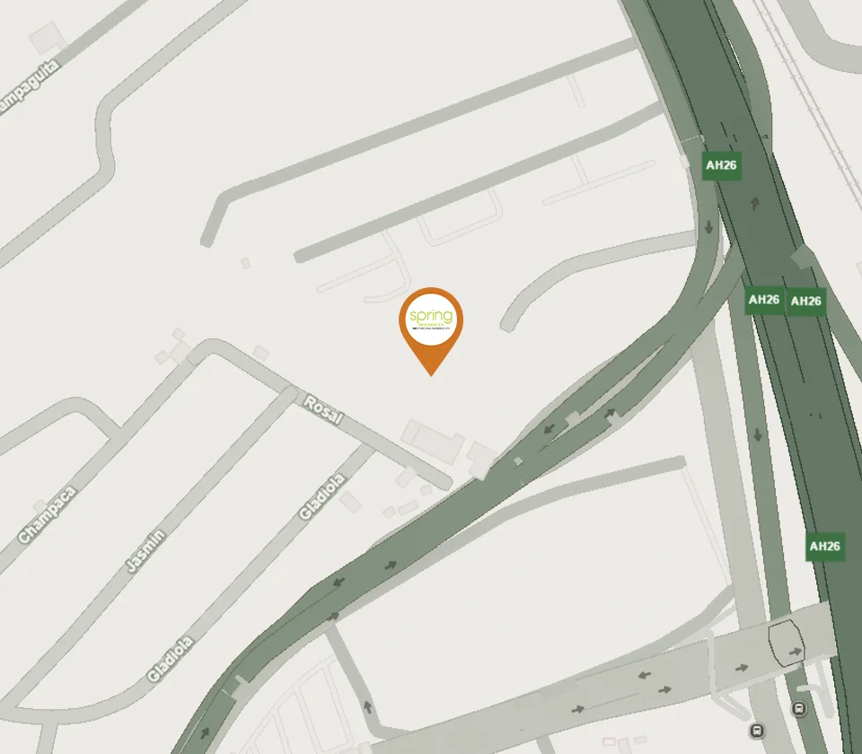 Spriing-Residences-Vicinity-Map