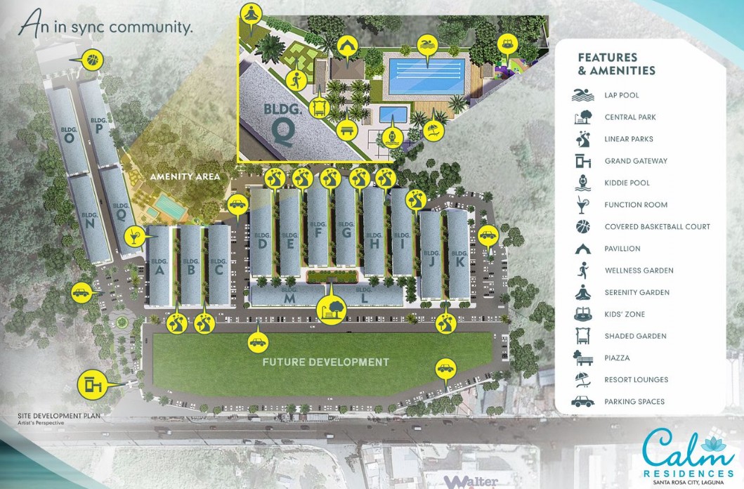 Development Plan